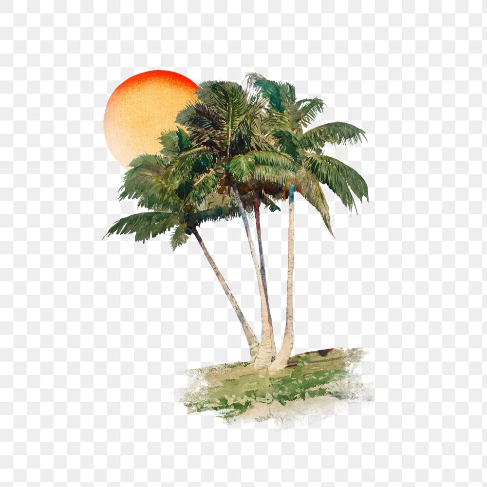 Watercolor coconut tree png element, editable remix design