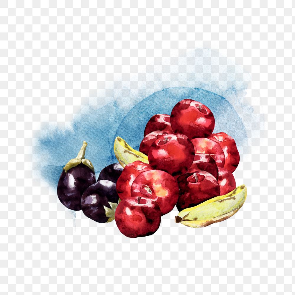 Watercolor fruits png element, editable remix design