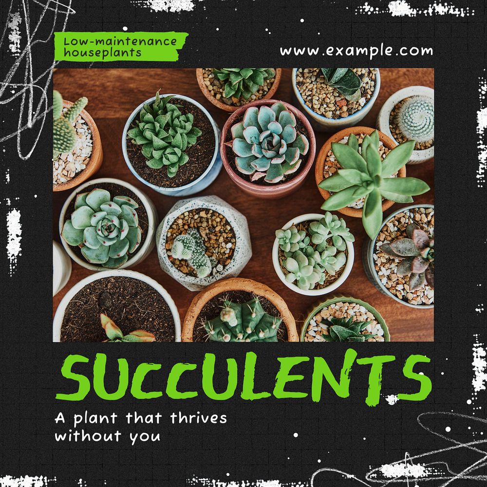 Succulents Instagram post template, editable text