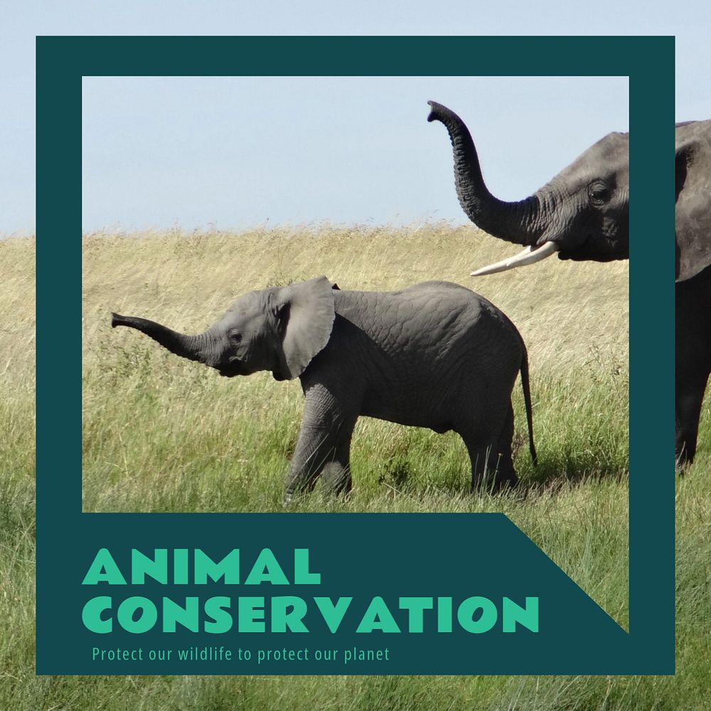 Animal conservation Instagram post template, editable text