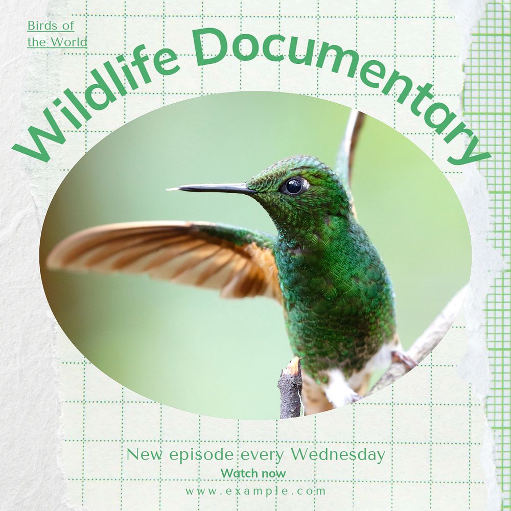 Wildlife documentary Instagram post template, editable text