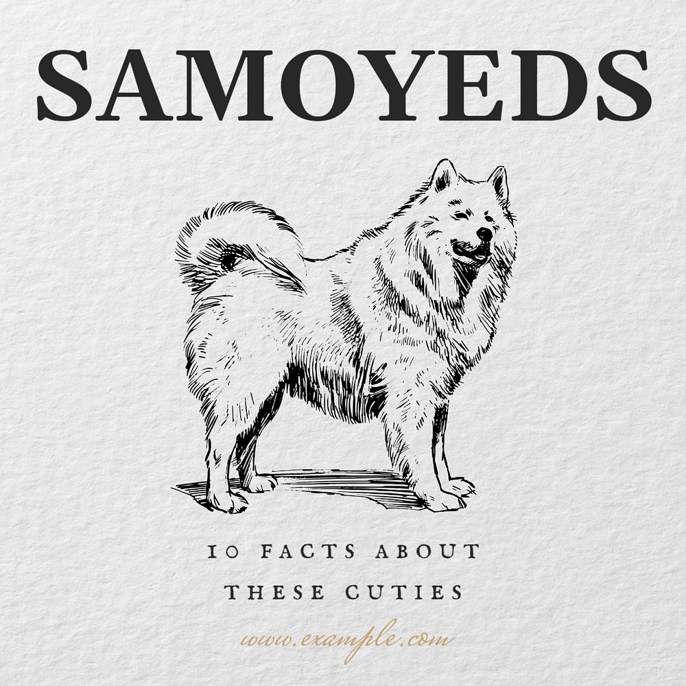 Samoyeds Instagram post template