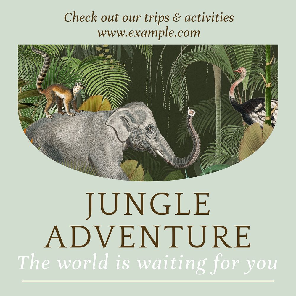 Jungle adventure Instagram post template, editable text