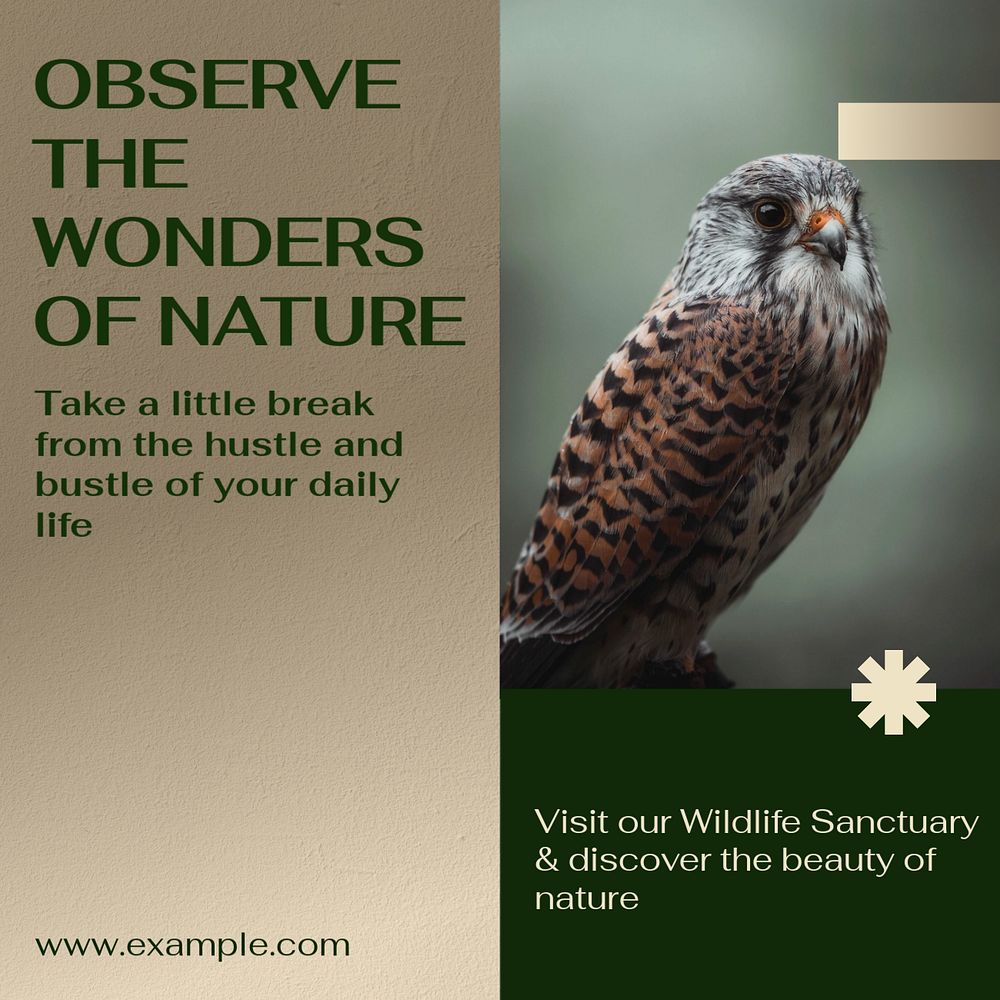 Wildlife sanctuary Instagram post template, editable text