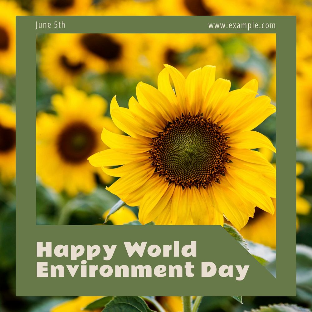 Environment day   Instagram post template, editable text