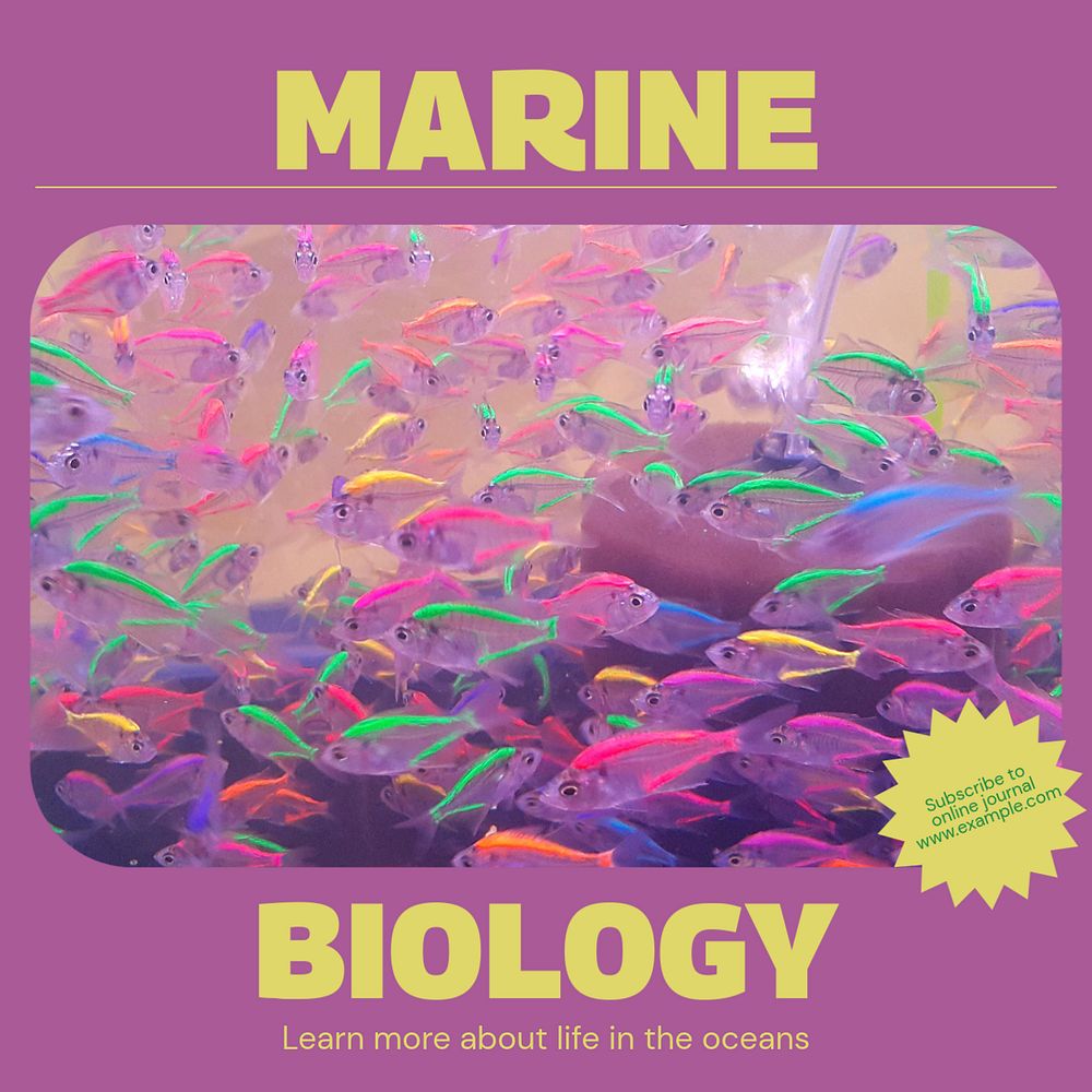 Marine biology  Instagram post template, editable text