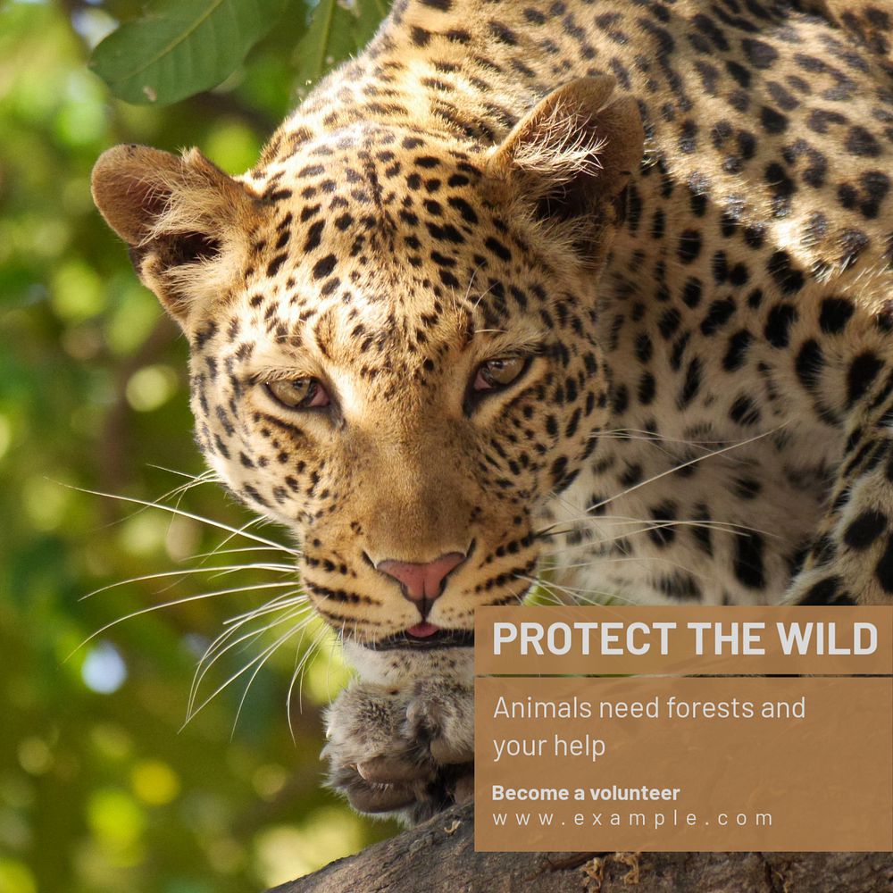 Protect the wild  Instagram post template, editable text