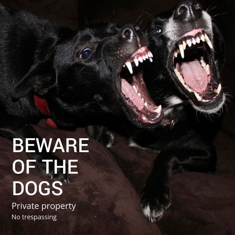 Beware of dogs Instagram post template, editable text