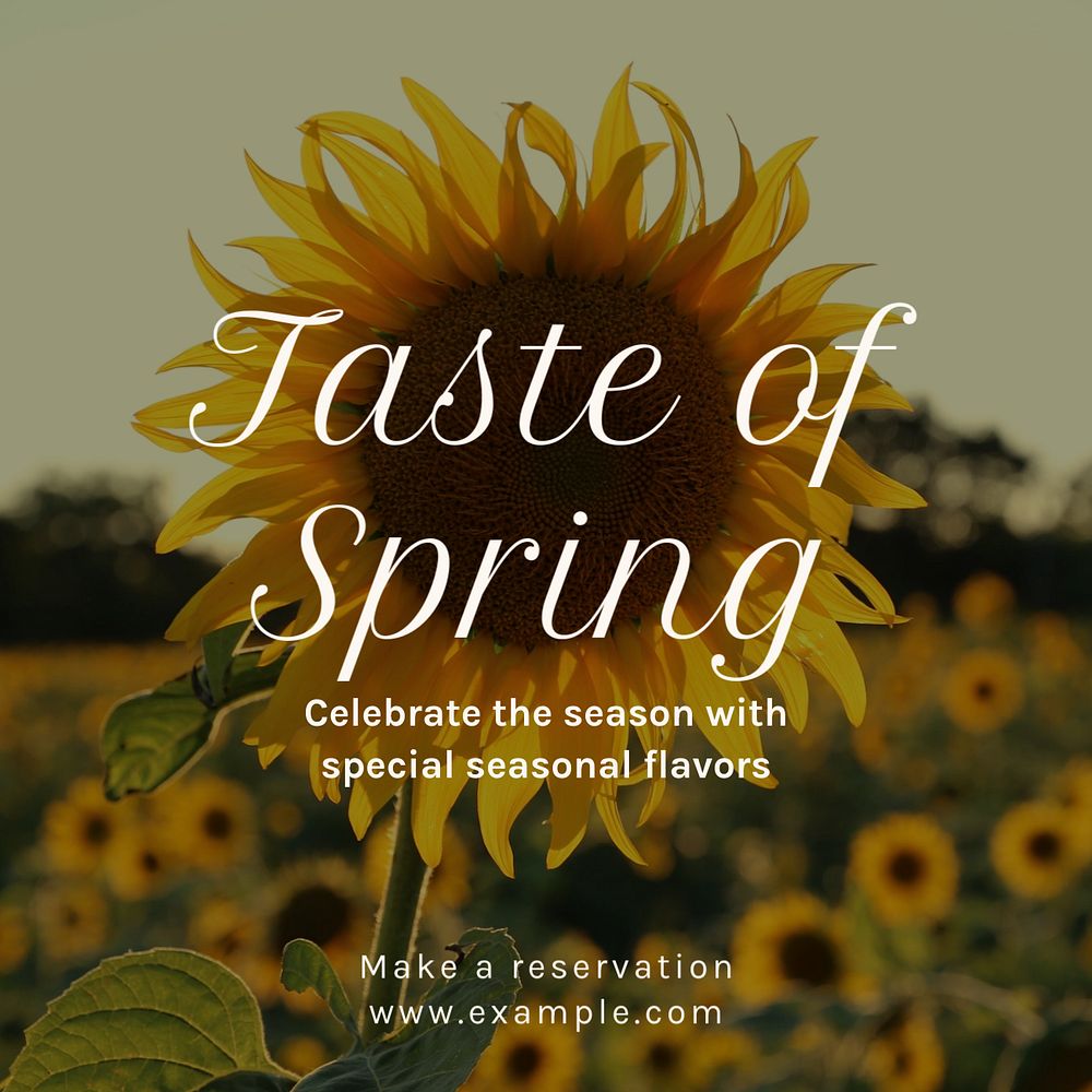 Taste of spring  Instagram post template, editable text