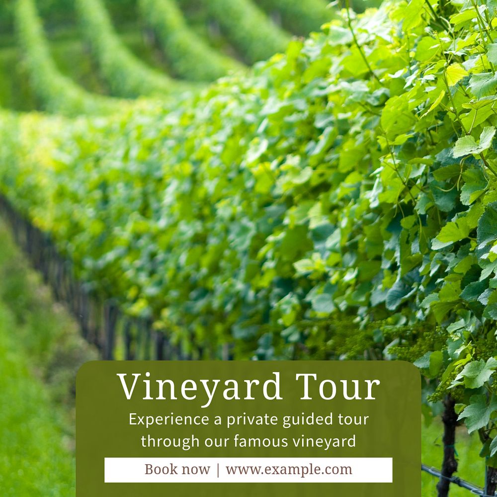 Vineyard tour Instagram post template, editable text