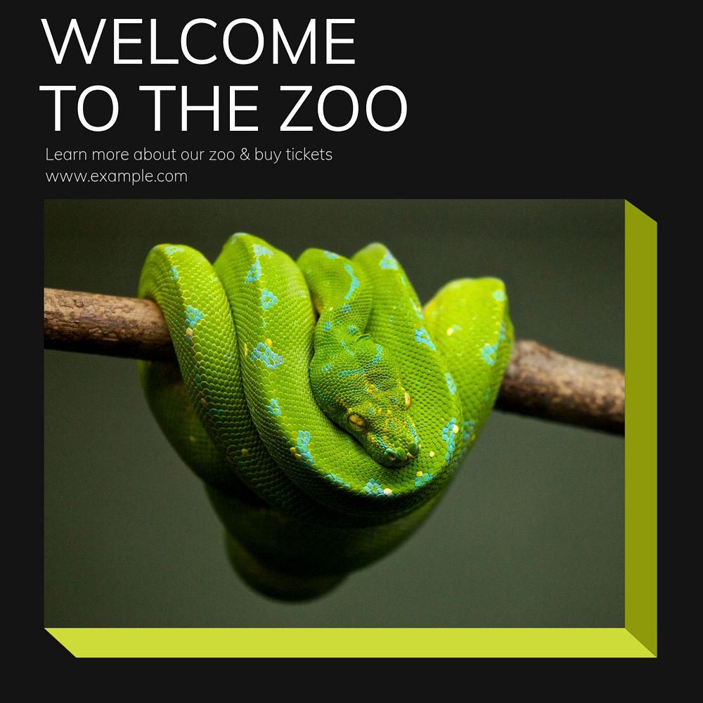 Zoo Instagram post template, editable text