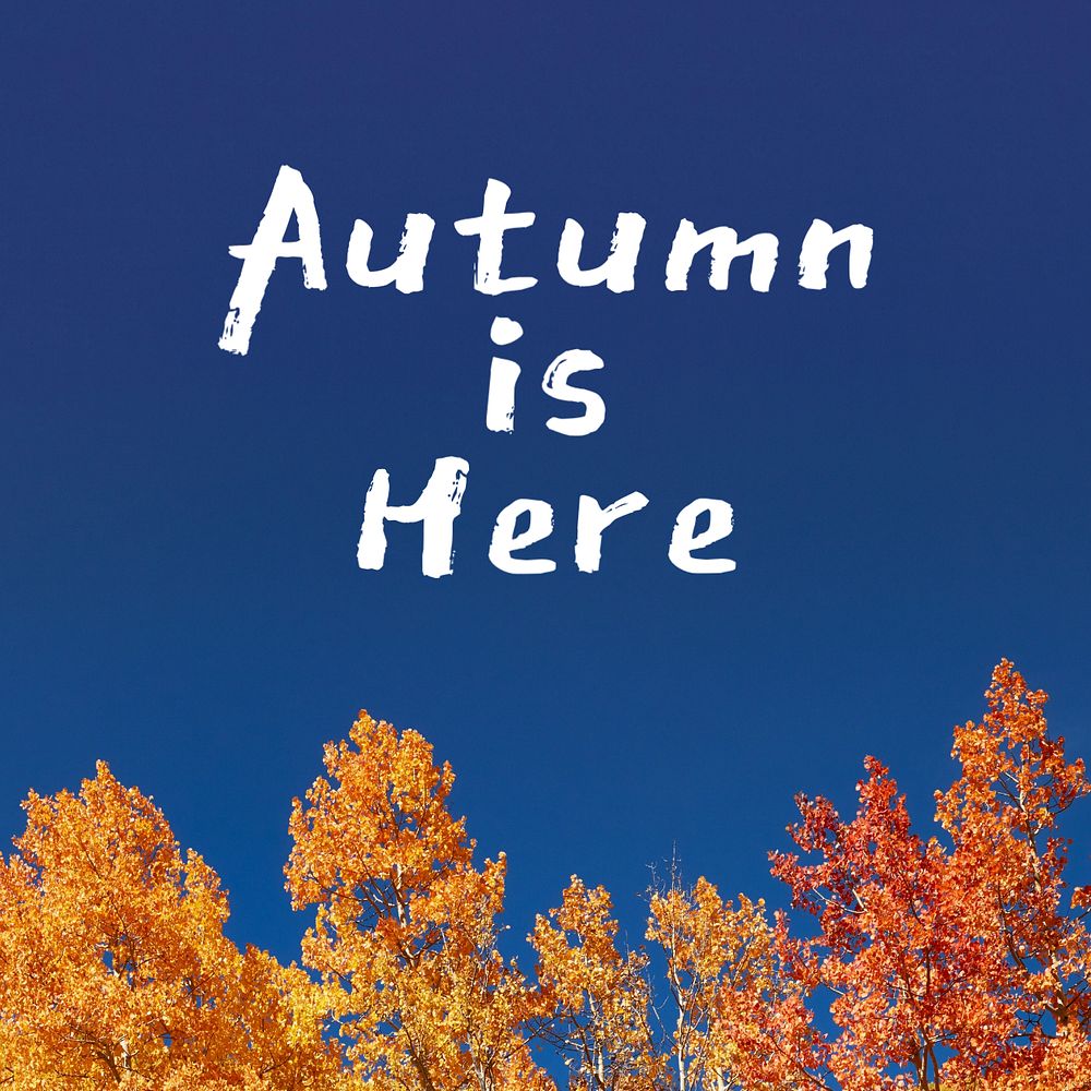 Welcome autumn Instagram post template, editable text