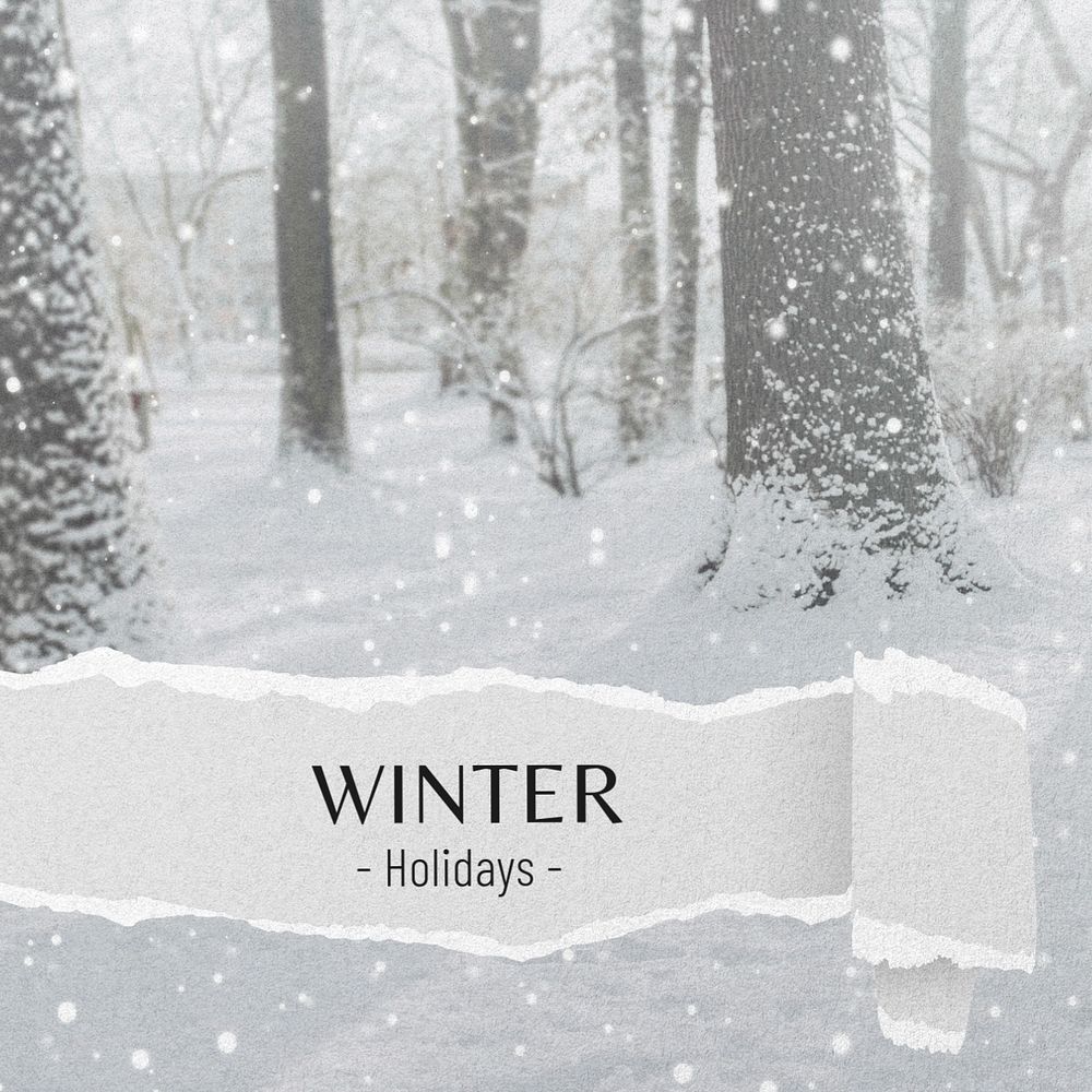 Winter holidays Instagram post template, editable text