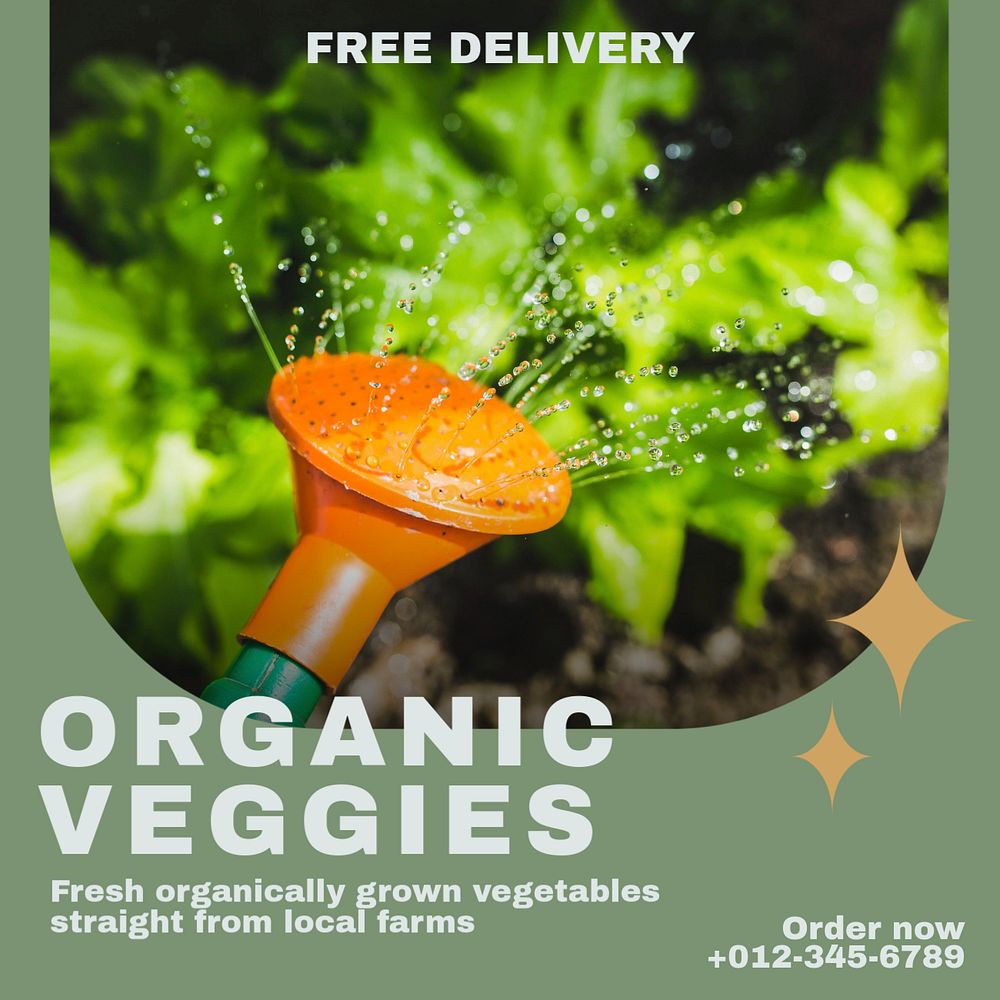 Organic veggies Instagram post template, editable text