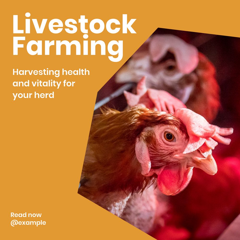 Livestock farming Instagram post template, editable text