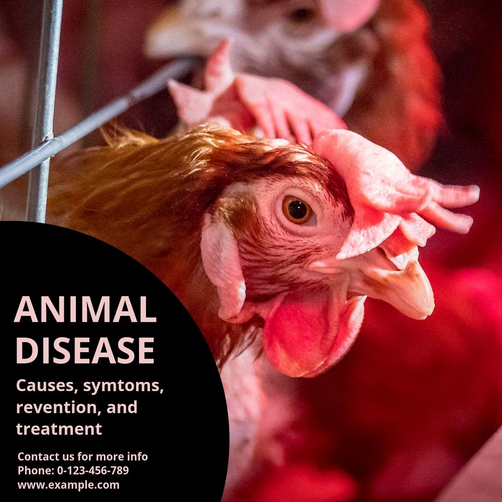 Animal disease Instagram post template, editable text