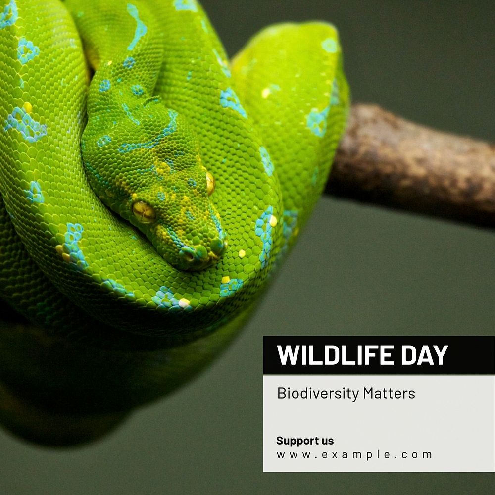 Wildlife day Instagram post template, editable text