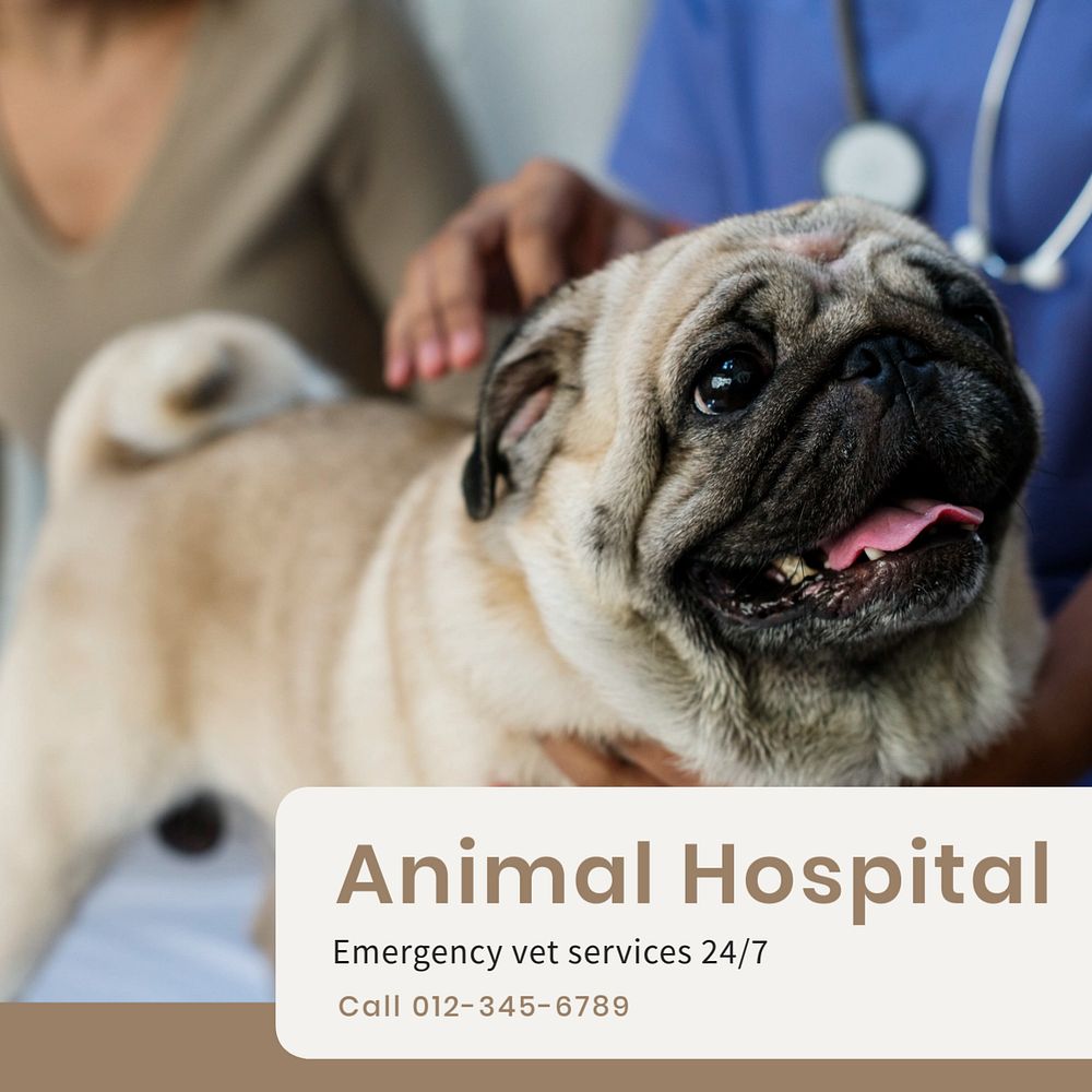 Animal hospital Instagram post template, editable text