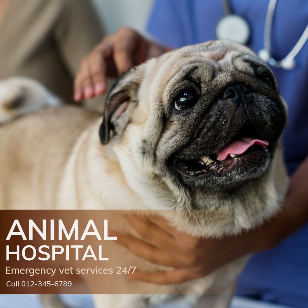 Animal hospital Instagram post template, editable text