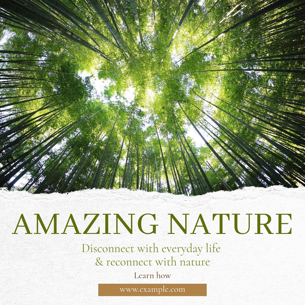 Amazing nature Instagram post template, editable text