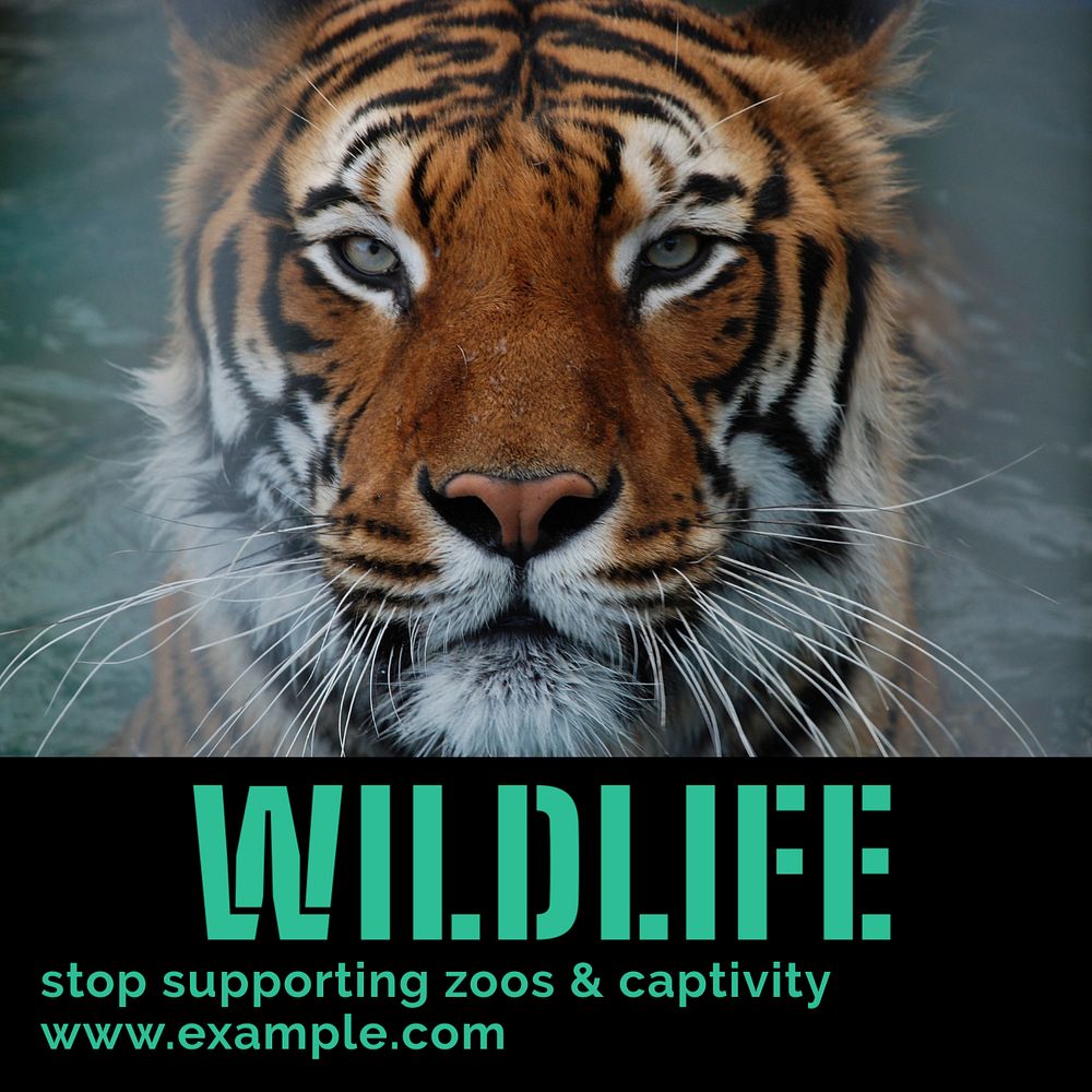 Stop wildlife captivity Instagram post template, editable text