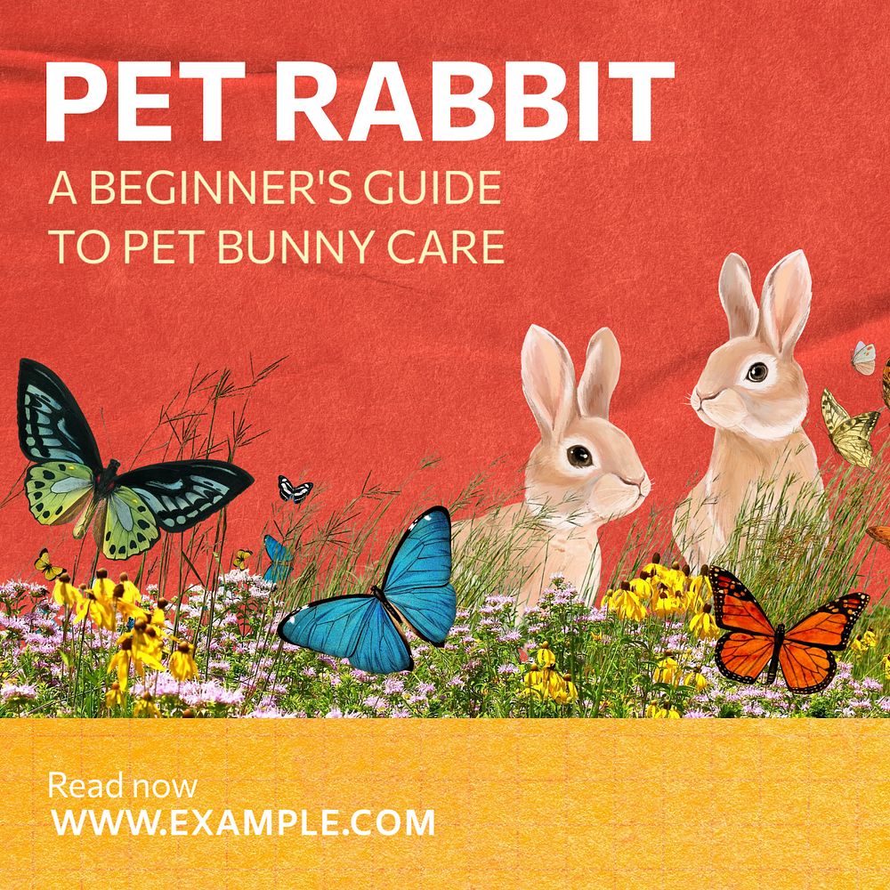 Pet rabbit Instagram post template, editable text