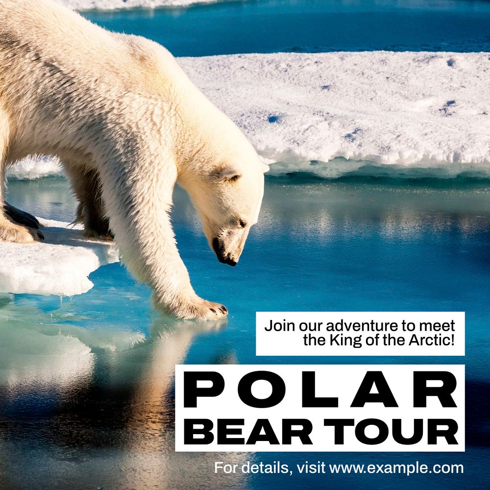 Polar bear tour Instagram post template, editable text