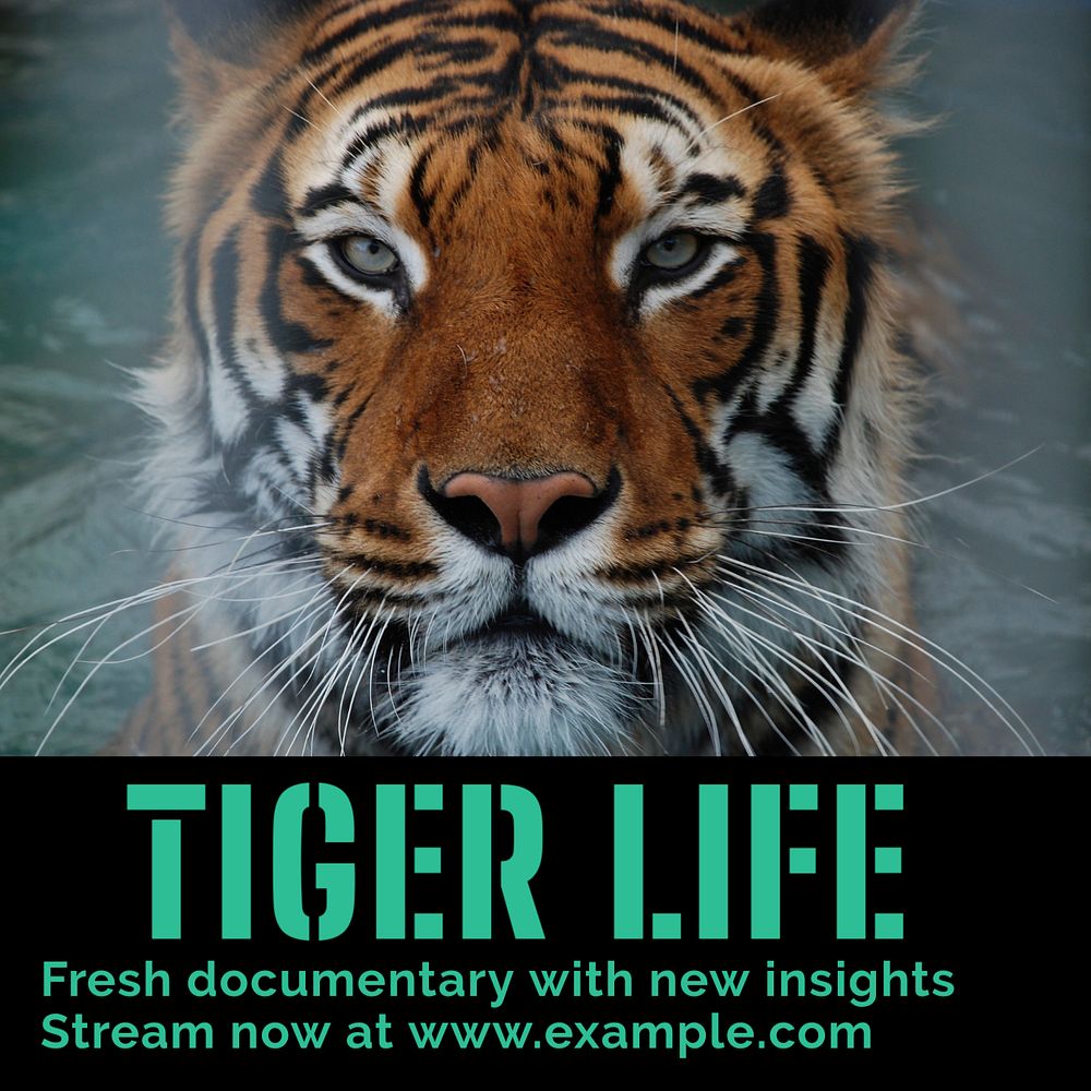 Tiger documentary Instagram post template, editable text