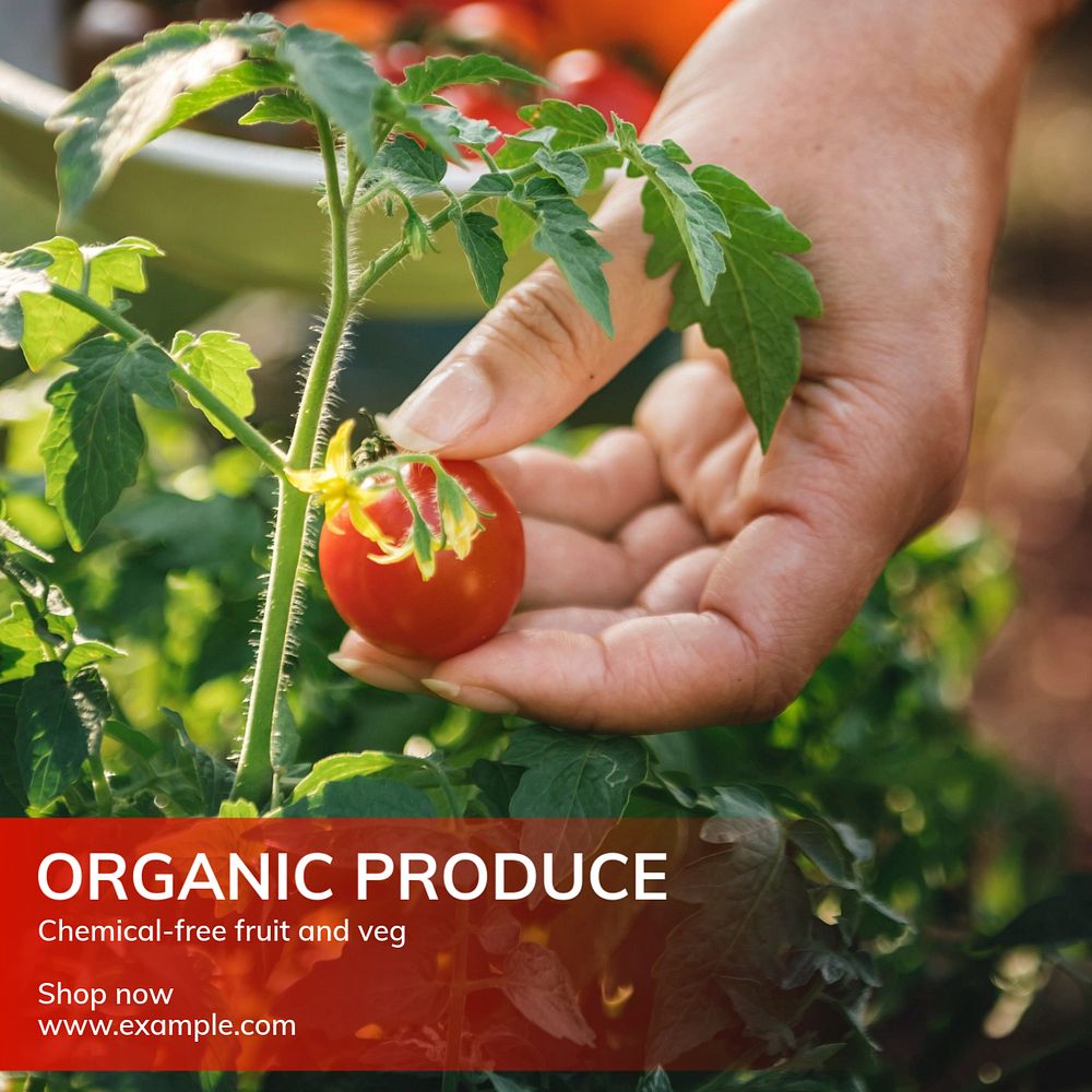 Organic produce Instagram post template, editable text