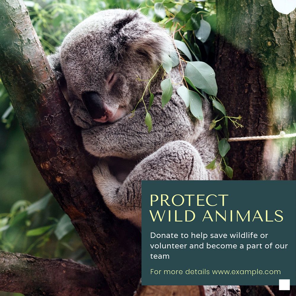 Protect wild animals post template, editable social media design