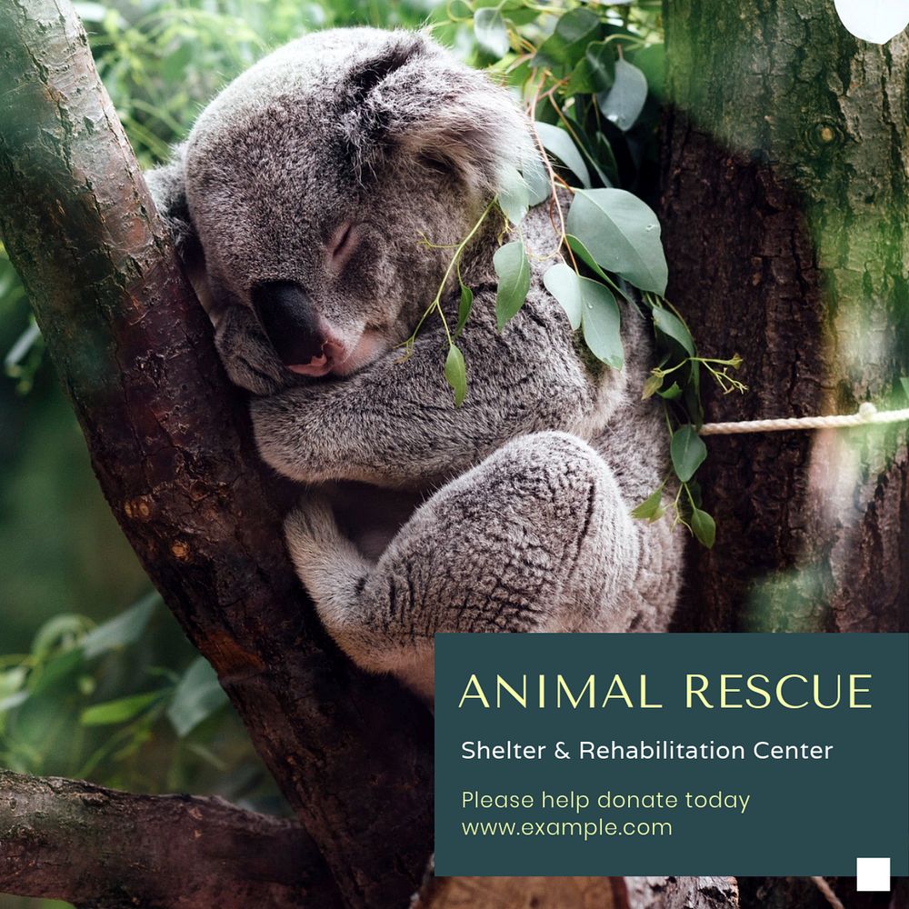 Animal rescue Facebook post template, editable design