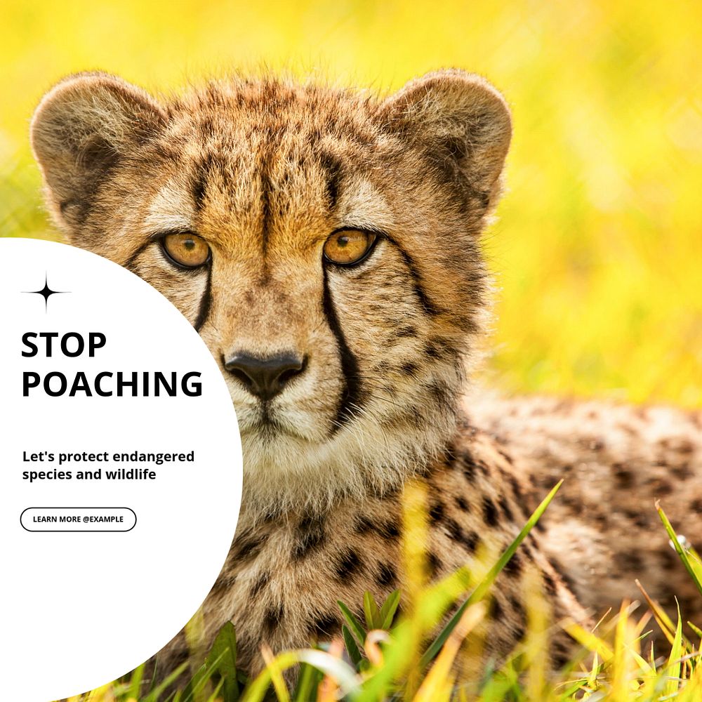 Stop poaching Instagram post template, editable text