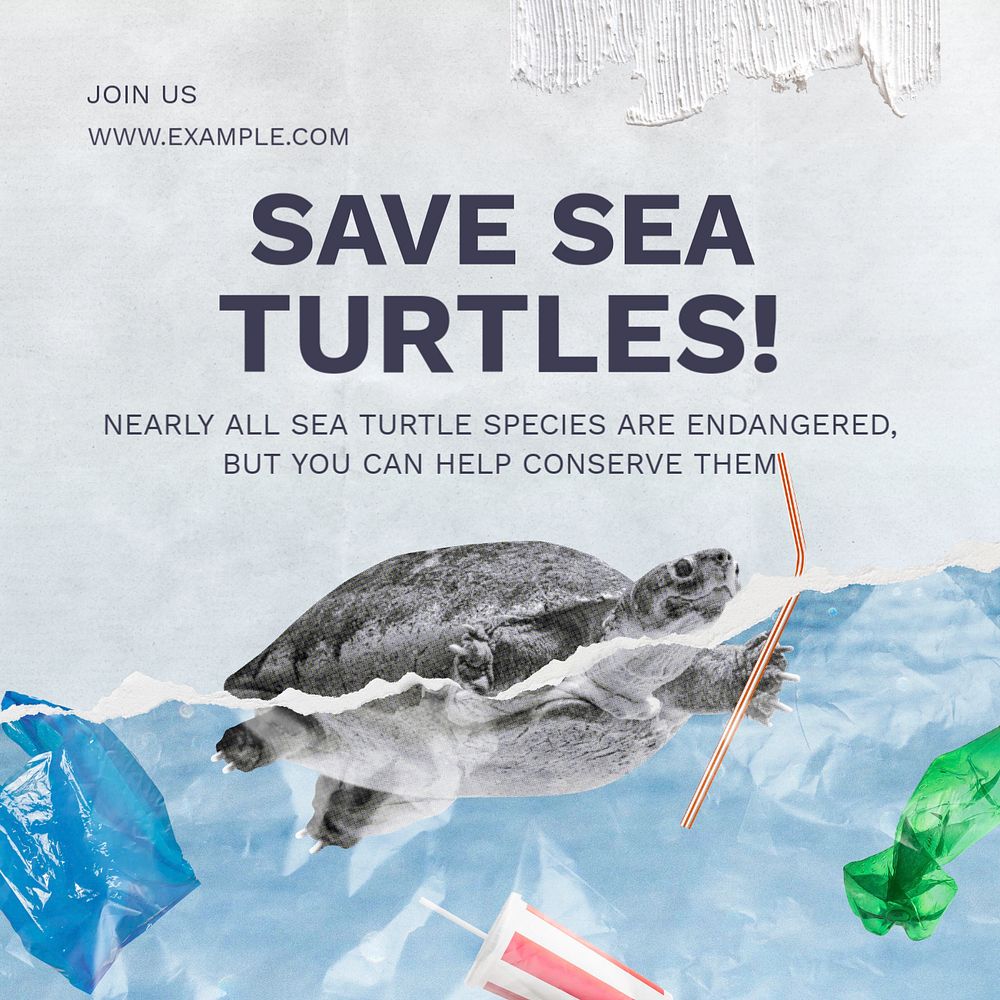 Save sea turtles Instagram post template, editable text