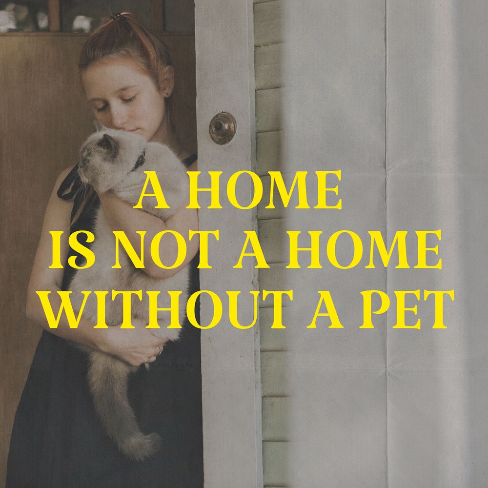 Pet quote Instagram post template, editable text