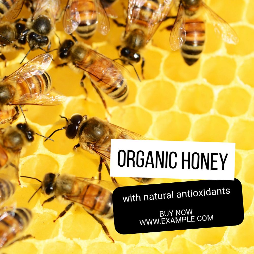 Organic honey Instagram post template, editable text