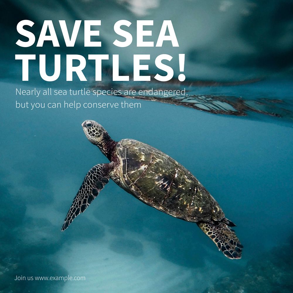 Save sea turtles Instagram post template, editable text