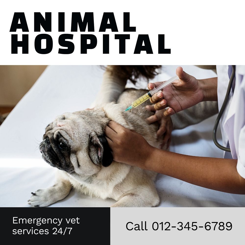 Animal hospital Instagram post template, editable text