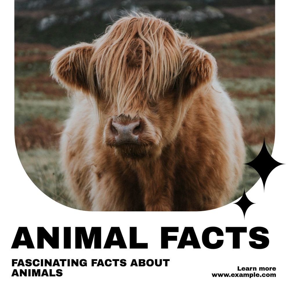 Animal facts Instagram post template, editable text