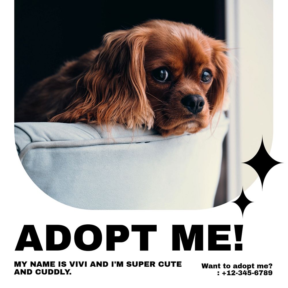 Pet adoption Instagram post template, editable text