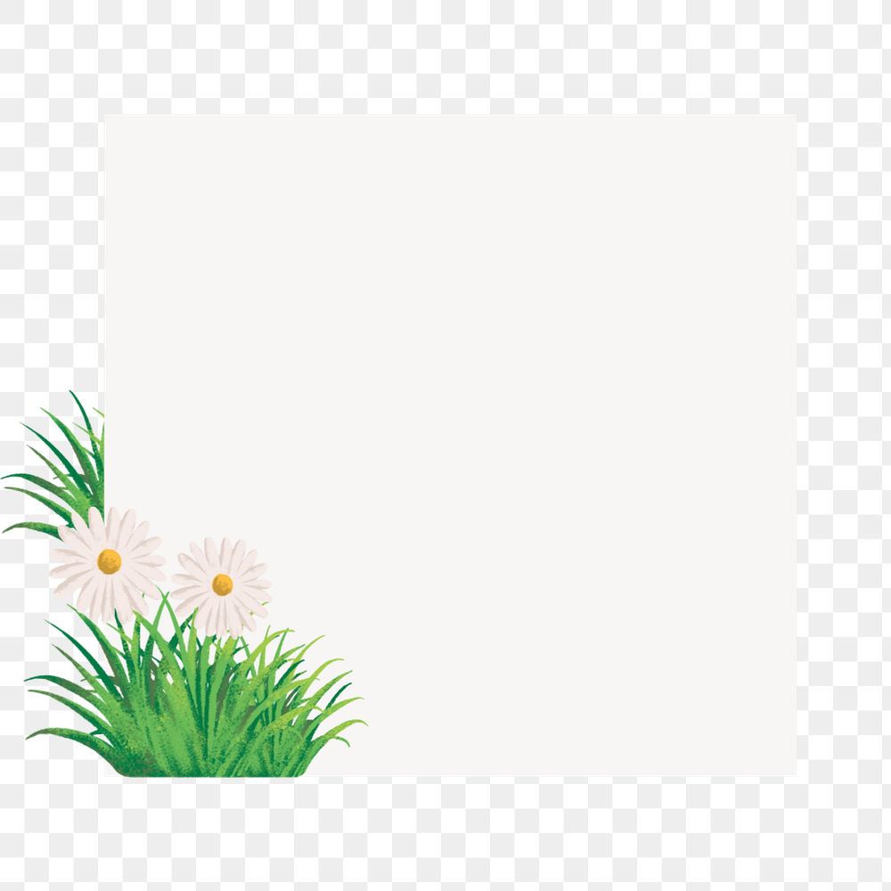 Editable daisy frame png element, painting illustration