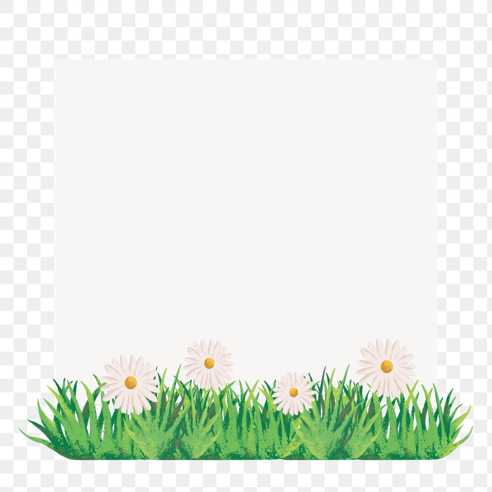 Editable daisy frame png element, painting illustration