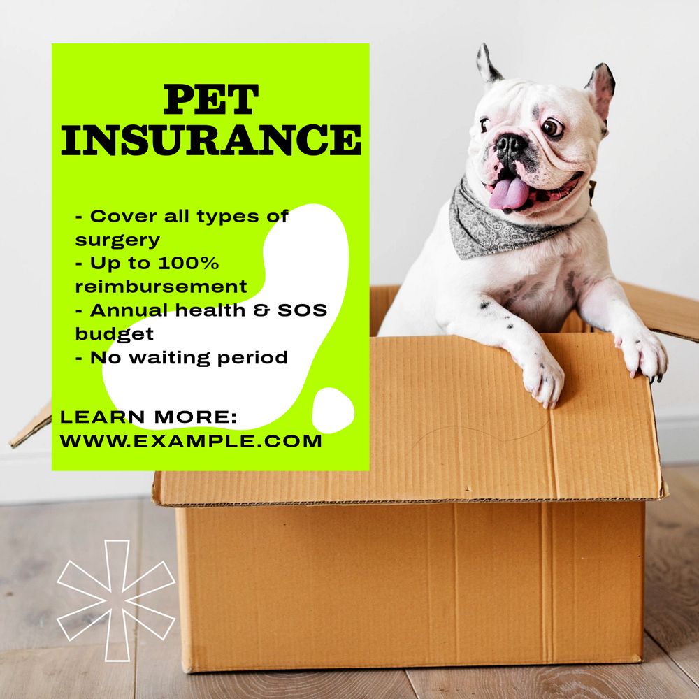 Pet insurance Instagram post template, editable text