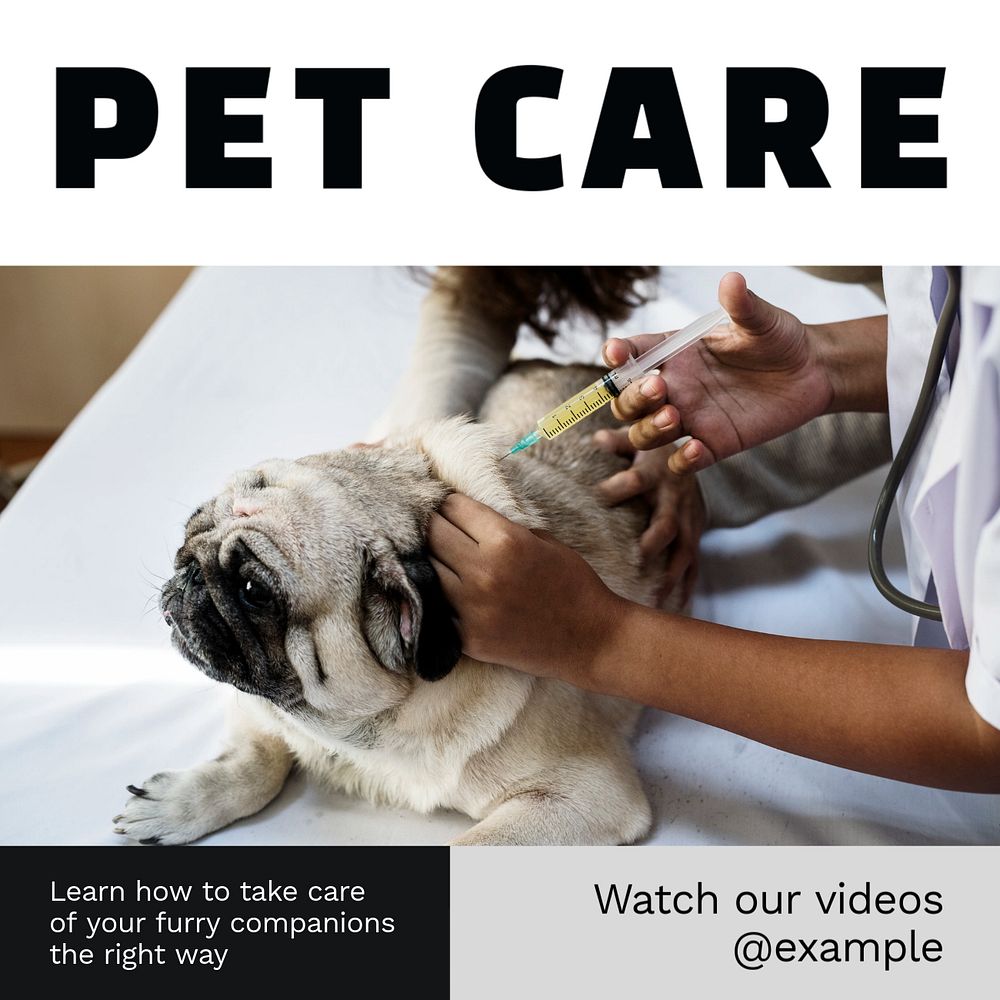 Pet care tutorials Instagram post template, editable text