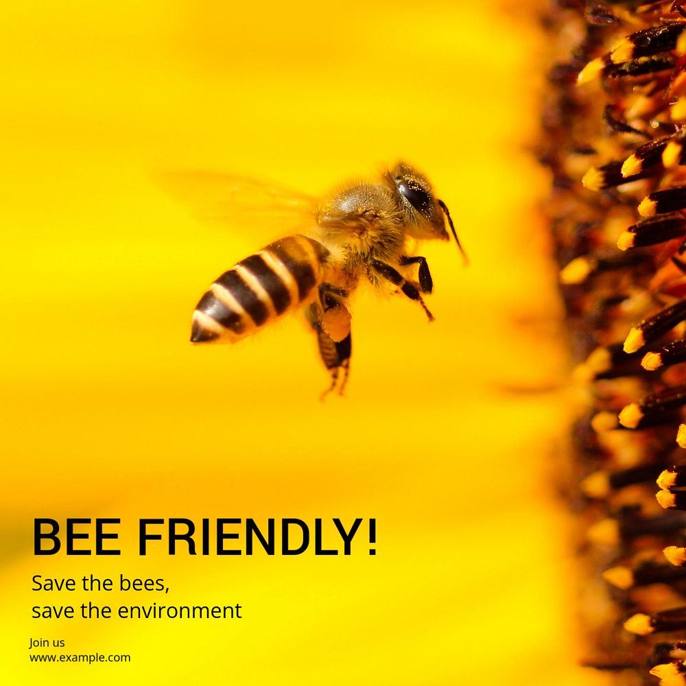 Bee friendly Instagram post template, editable text