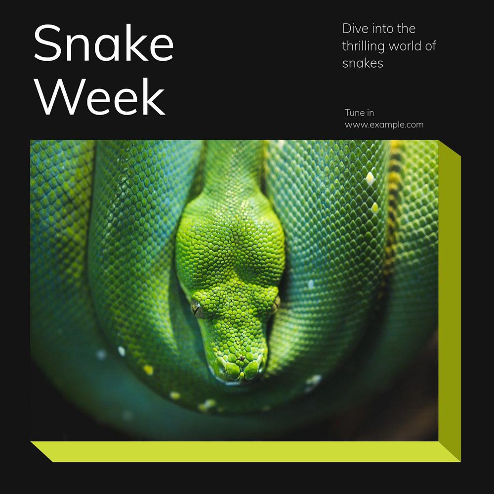 Snake week Instagram post template, editable text