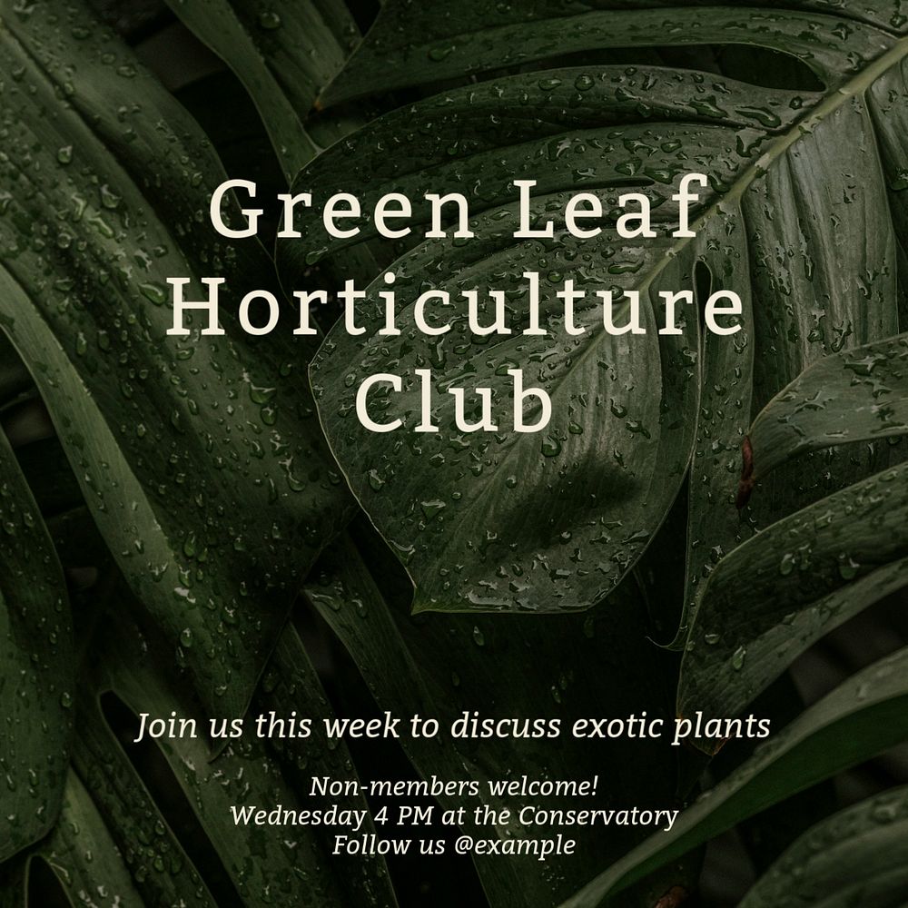 Green leaf club Instagram post template, editable text