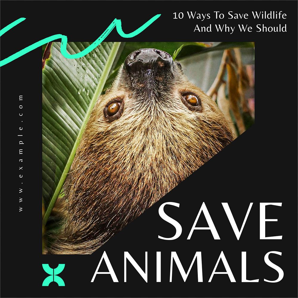 Save animals Instagram post template, editable text