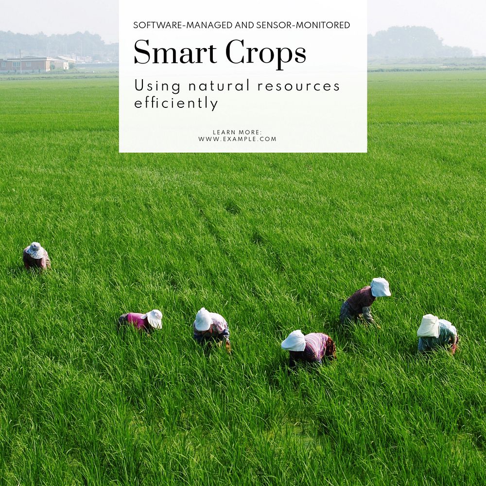 Smart agriculture Instagram post template, editable text