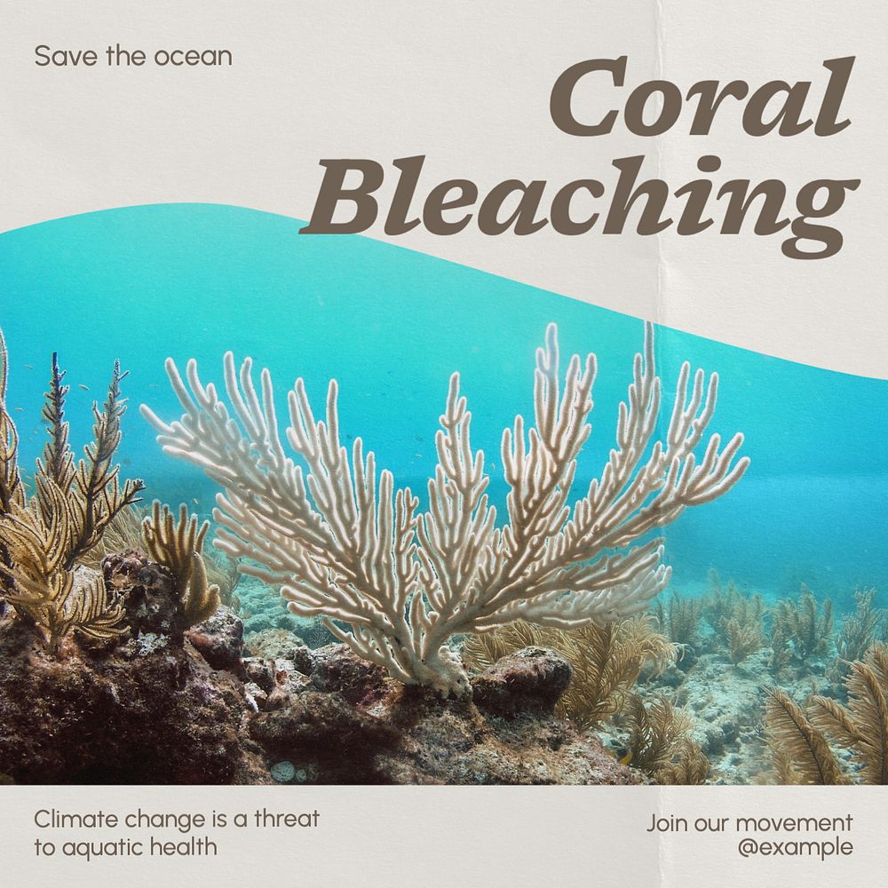 Coral bleaching Instagram post template