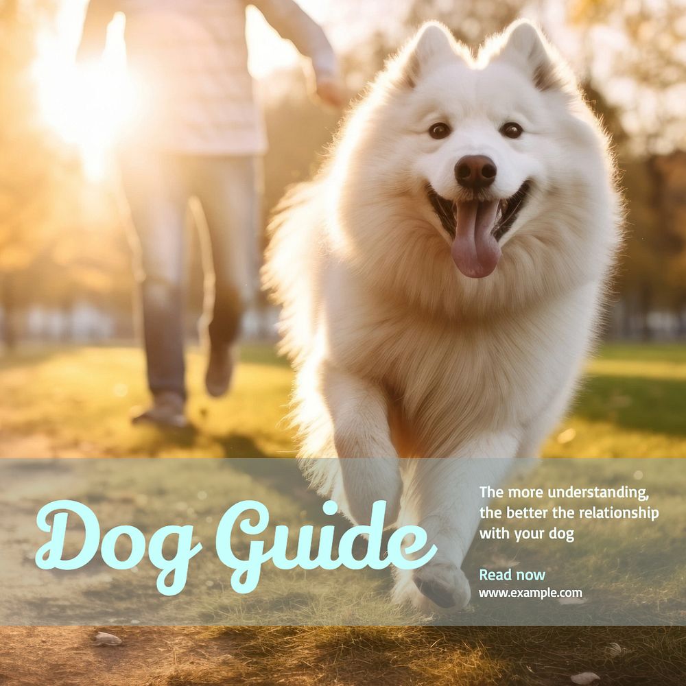 Dog guide Instagram post template, editable text